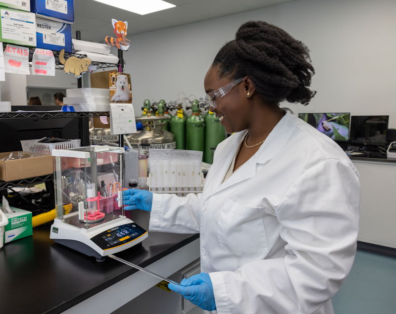 Steadfast Staff Working Process